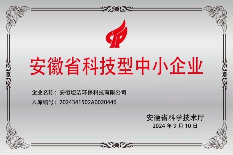 东城安徽科技型中小企业证书